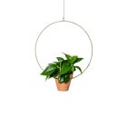 NewMade LA Circle Hanging Planter