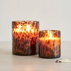 Tortoise Glass Candles - Tonka &amp; Sandalwood