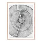 Rock Canyon Pine Framed Wall Art by Erik Linton