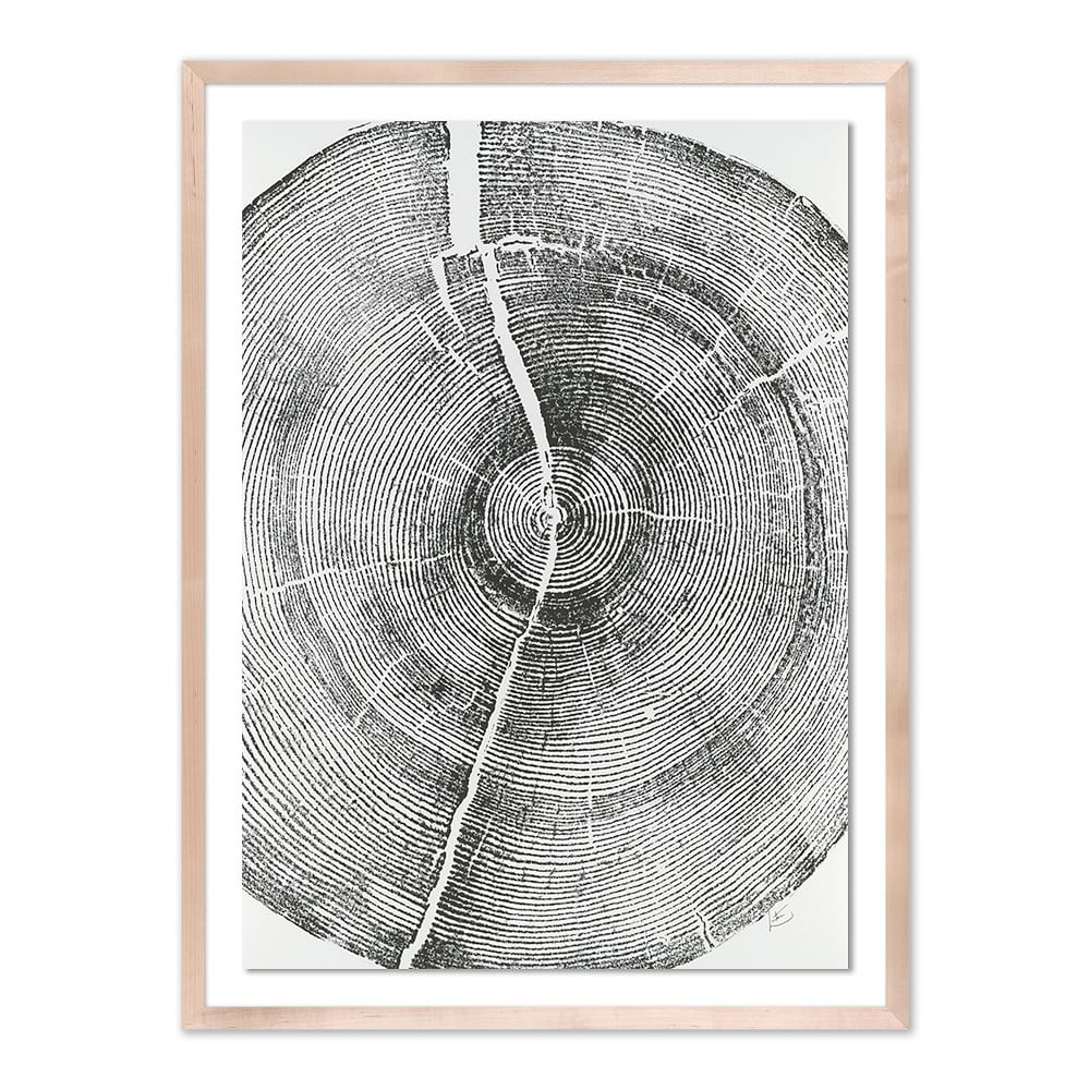 Rock Canyon Pine Framed Wall Art by Erik Linton by West Elm