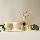 Alura Homescent Collection - White Aloe