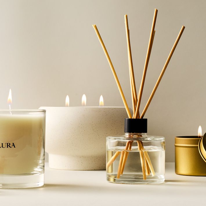 Alura Homescent Collection - Cedar Woods | West Elm