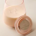 Rove Homescent Collection - Salted Grapefruit