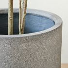 Faux Potted Green Leaf Tree &amp; Radius Planter Bundle