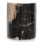 Petrified Wood Side Table (12")