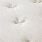 Leesa + West Elm Natural Hybrid Mattress