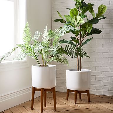 Indoor Planters for Home Decor | West Elm