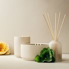 West Elm Homescent Collection - Rosewater