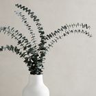 Dried Eucalyptus Bundle - Green