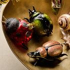 Bug Ornaments