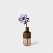 Melanie Abrantes Indira Vase