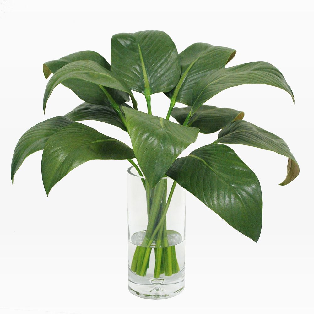 Faux Calla Leaf w/ Vase by West Elm
