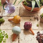 Modern Sprout Watering Bulb