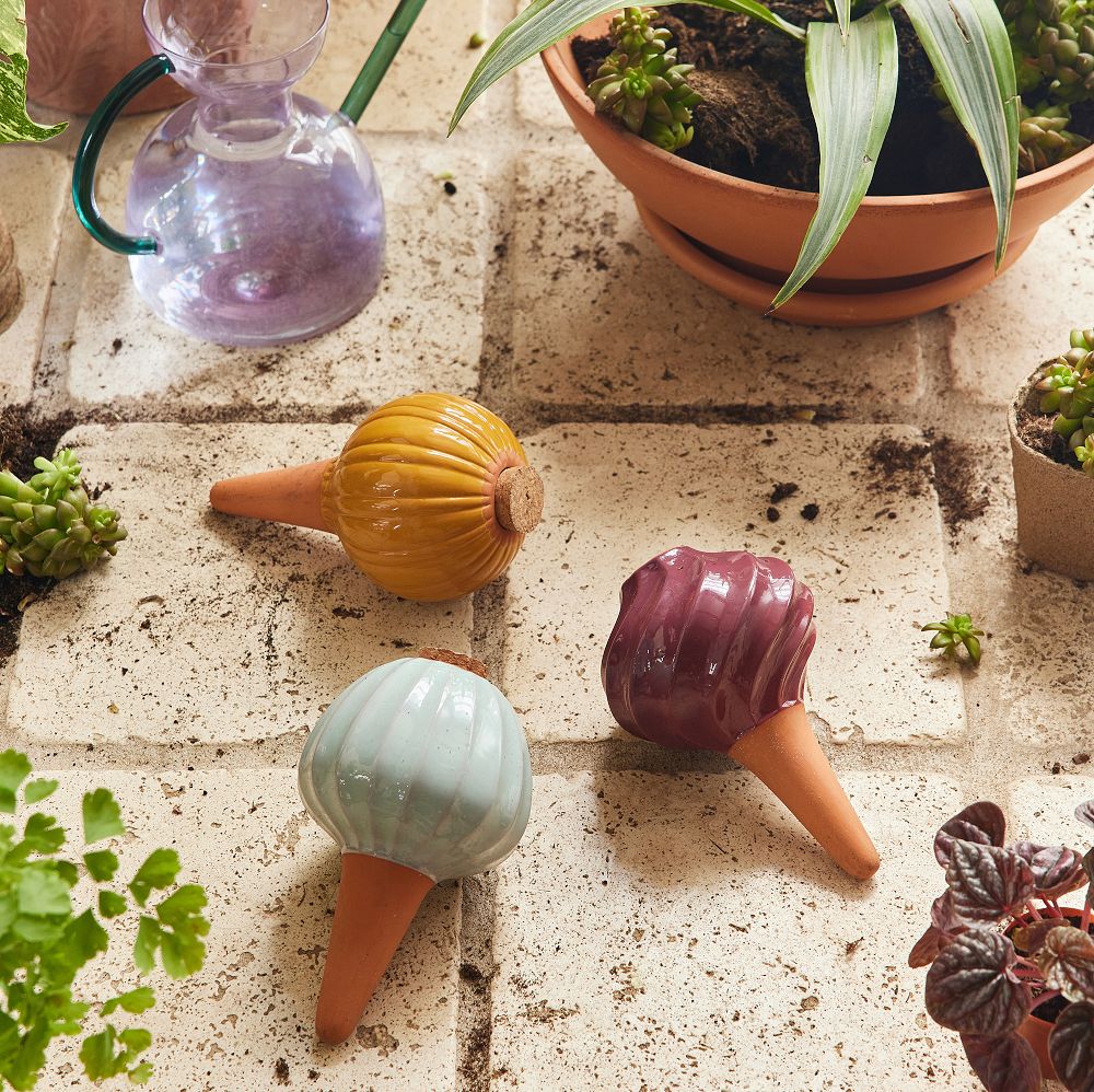 Modern Sprout Watering Bulb - Set of 3