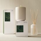 West Elm Homescent Collection - Slopeside Pine