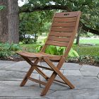 Aldenry Eucalyptus Outdoor Folding Chairs (Set of 2)