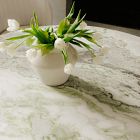 Odilia Marble Round Dining Table (60")