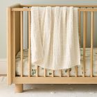 Fuzzy Cozy Baby Blanket