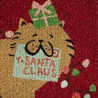 Twinkle Paws Doormat