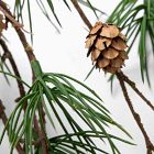 Faux Droopy Pine Branch