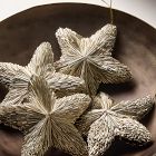 Mylar Star Ornaments (Set of 4)
