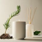 West Elm Homescent Collection - Slopeside Pine