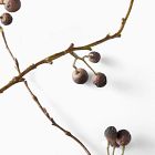 Faux Blackberry Branch