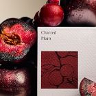 West Elm Homescent Collection - Charred Plum