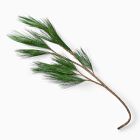 Faux Long Needle Pine Branch
