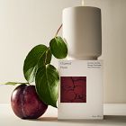 West Elm Homescent Collection - Charred Plum