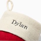 Felt Reindeer in Lights Stocking