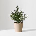 Faux Potted Subtle Glitter Pine Tabletop Tree