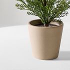 Faux Potted Subtle Glitter Pine Tabletop Tree