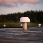 Harvest Moon Indoor/Outdoor Table Lamp (9")