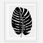 Living Pattern Framed Print - Monstera Deliciosa