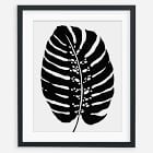 Living Pattern Framed Print - Monstera Deliciosa