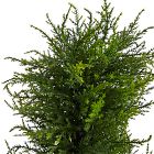 Pre-Lit Faux Potted Spiral Cypress Indoor/Outdoor Tree