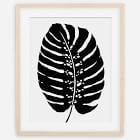 Living Pattern Framed Print - Monstera Deliciosa