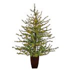 Pre-Lit Faux Potted Vancouver Mountain Pine Tree