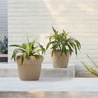 Lightweight Appio Indoor/Outdoor Planters
