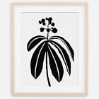 Living Pattern Framed Print - Dichorisandra Thyrsiflora