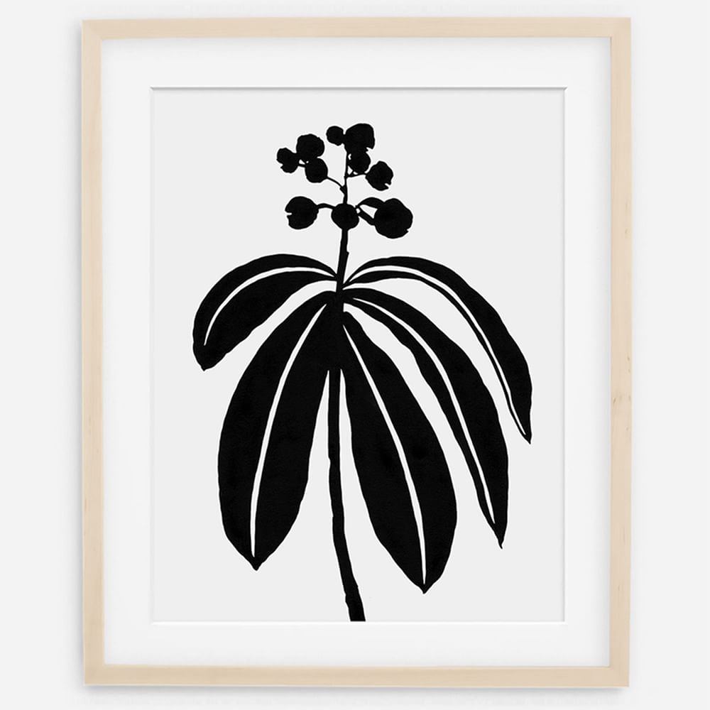 Living Pattern Framed Print - Dichorisandra Thyrsiflora by West Elm