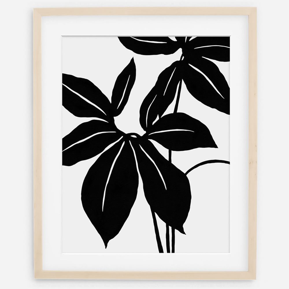 Living Pattern Framed Print - Xanthosoma Wendla by West Elm