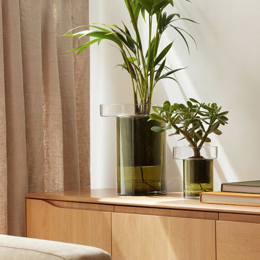 Canopy Glass Self-Watering Planter | West Elm