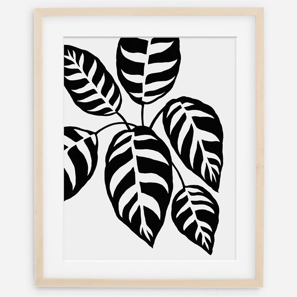 Living Pattern Framed Print - Calathea Leopardina by West Elm