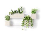 Cubiko Wall Planter