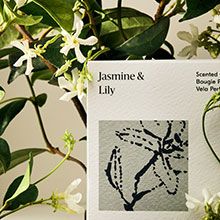 Modern Homescent Collection