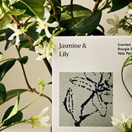 Modern Homescent Collection