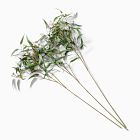 Open Box: Faux Branchy Eucalyptus Branch (34"), Set of 3 - Green
