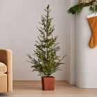 Faux Potted Alpine Tree w/ Pine Cones